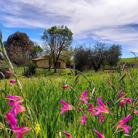 Agriturismo La Sorgente Фонтебланда Екстериор снимка