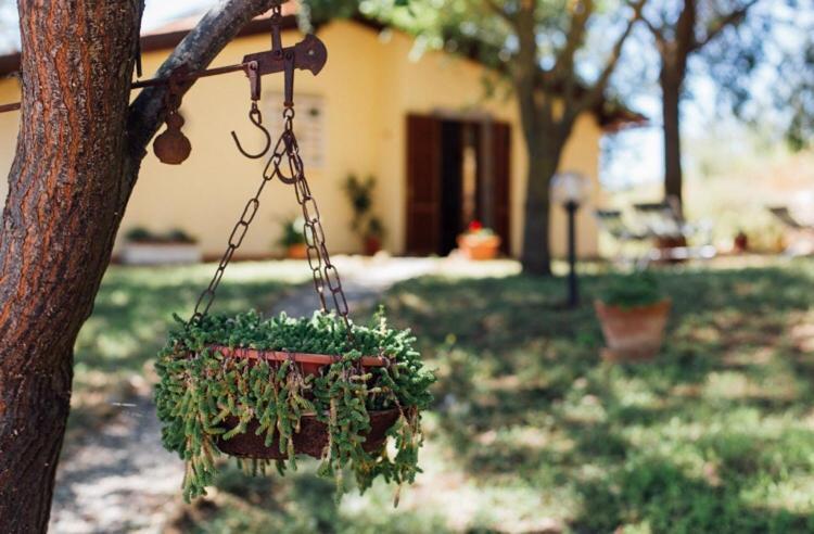 Agriturismo La Sorgente Фонтебланда Екстериор снимка