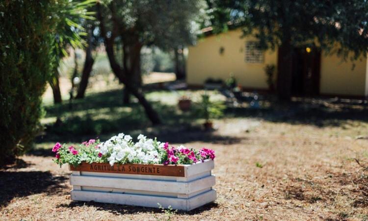 Agriturismo La Sorgente Фонтебланда Екстериор снимка