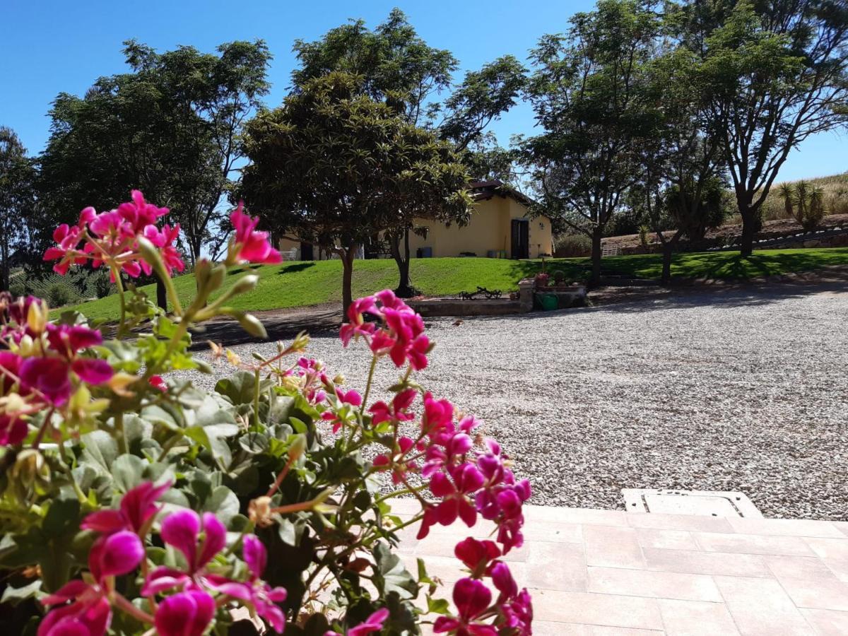 Agriturismo La Sorgente Фонтебланда Екстериор снимка