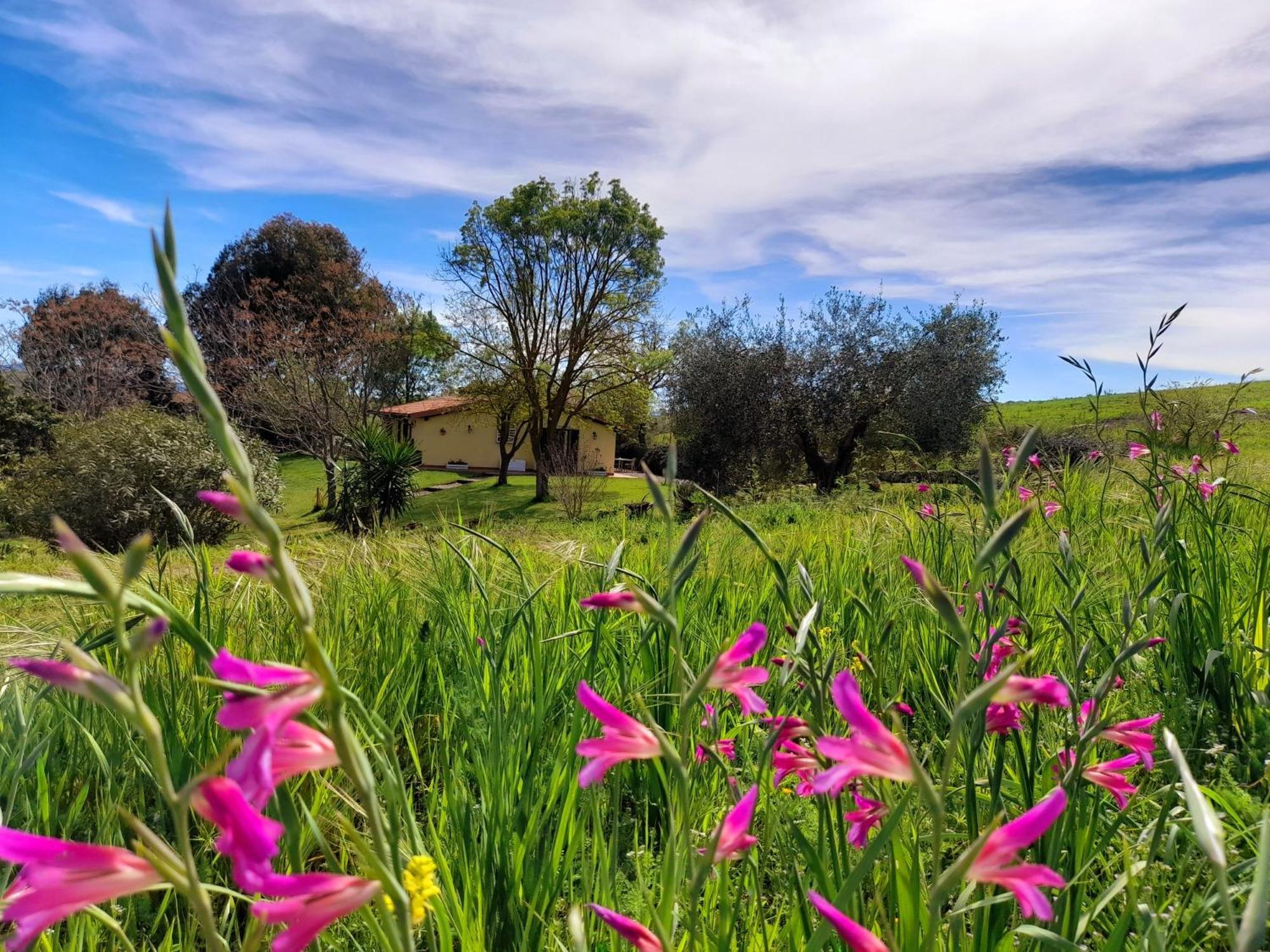 Agriturismo La Sorgente Фонтебланда Екстериор снимка